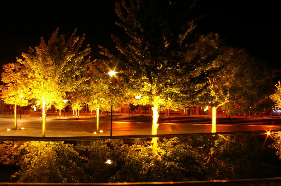 La place des droits de l homme et du citoyen de Nuit: La Place des Droits de l Homme et du Citoyen 078